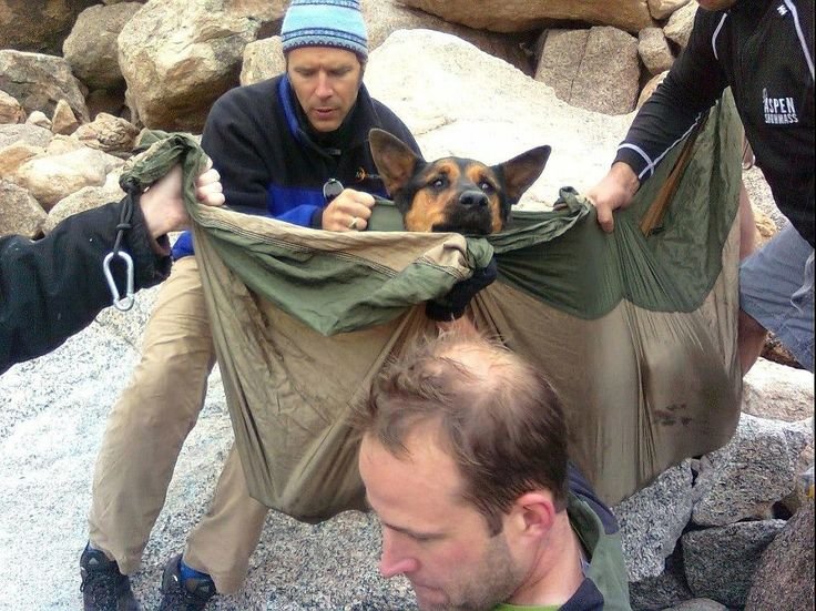 abandoned-shepherd-rescued-from-mountain-top