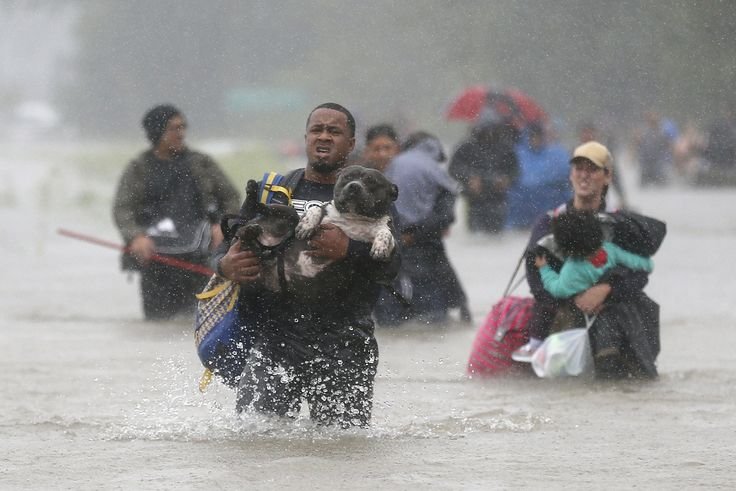 keeping-your-pet-safe-during-natural-disasters